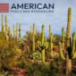 arizona desert saguaro year round pool service 85x85