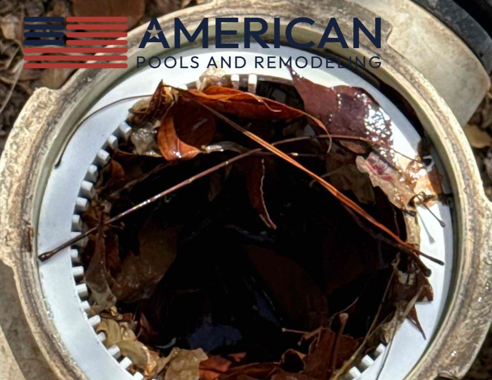 Pump basket filled with leaves between weekly pool service visits in Arizona.