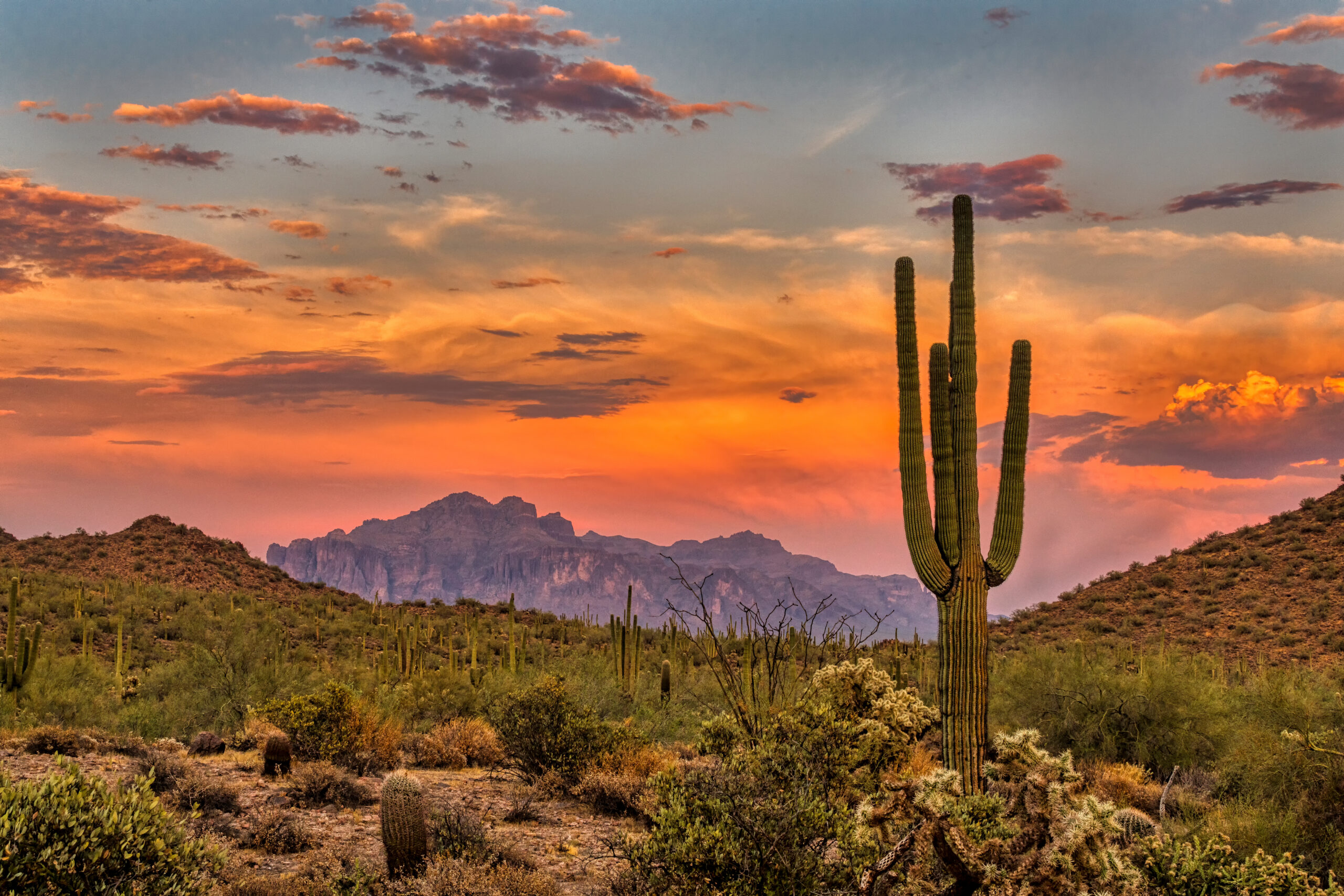 Arizona desert landscape with saguaro cactus and mountains