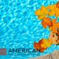 fall pool care arizona landscaping leaves 85x85